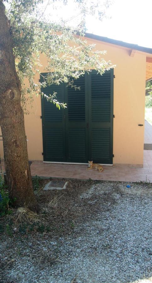 Agriturismo Ardizio 43 Pésaro Exterior foto