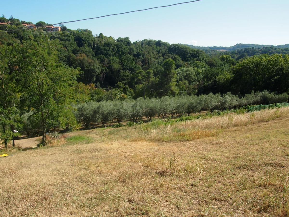 Agriturismo Ardizio 43 Pésaro Exterior foto